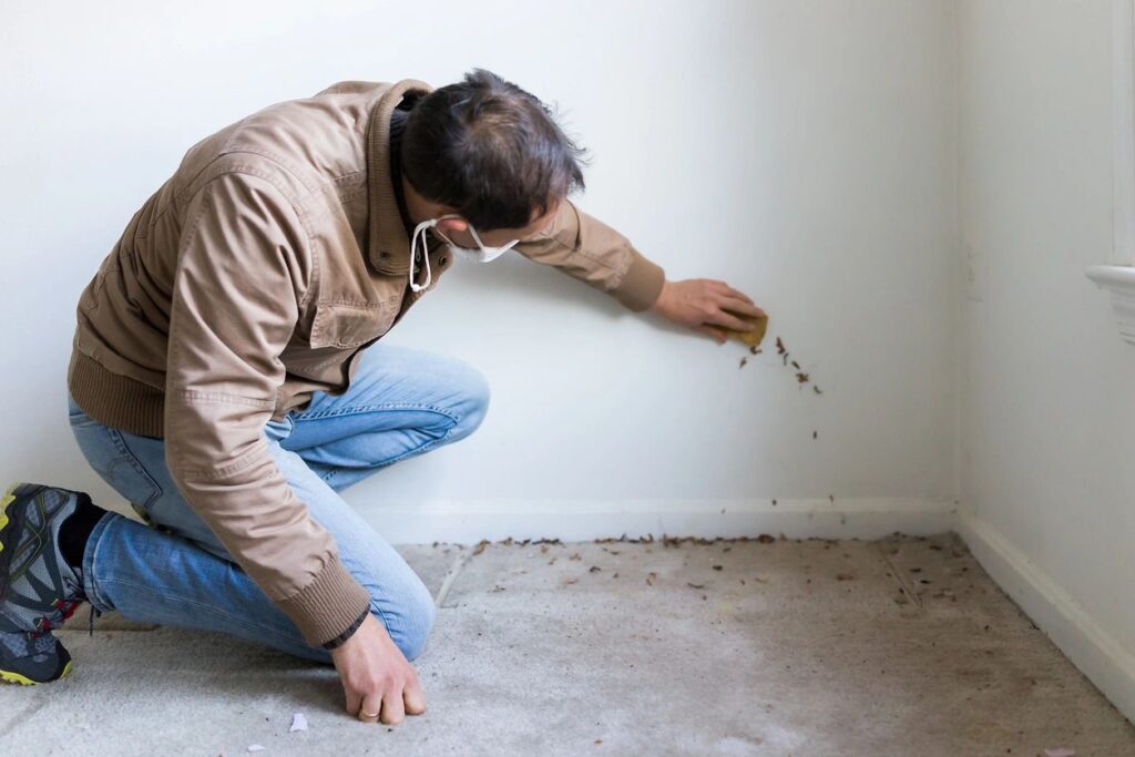 Spring Foundation Repair